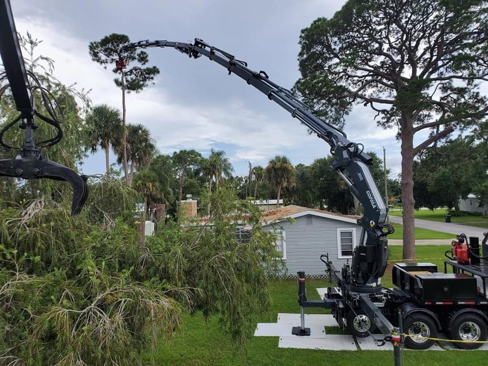 3 Benefits of Crane Services for Tree Removals