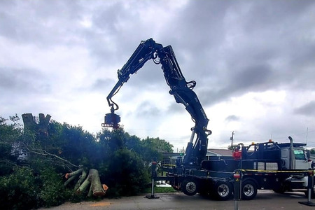 Tree Service Express Offers Crane Services
