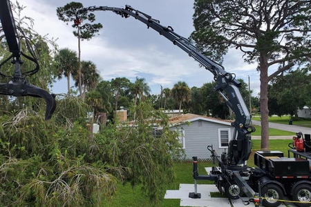 3 Benefits of Crane Services for Tree Removals