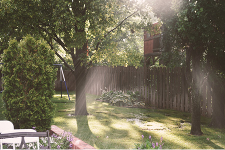 The Dangers of Planting Trees Too Close to Your HomeThe Dangers of Planting Trees Too Close to Your Home