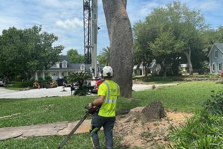 Preparing for a tree removal in Palm Bay, Florida