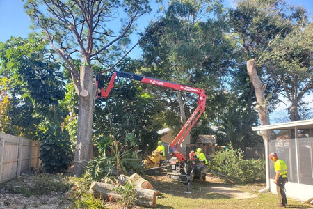 Palm Bay, Florida Tree Services