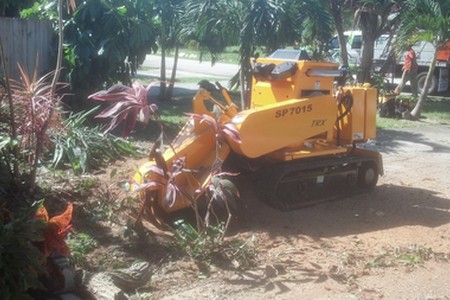 Stump Grinding Photos