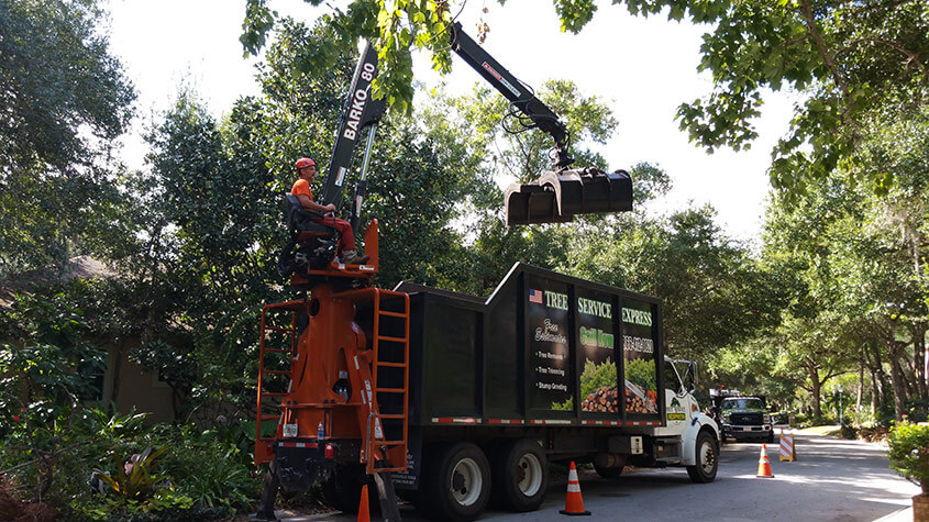 Grapple Truck Cleanup Services