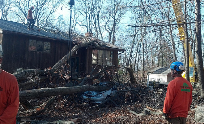 Storm Damage Clean Up