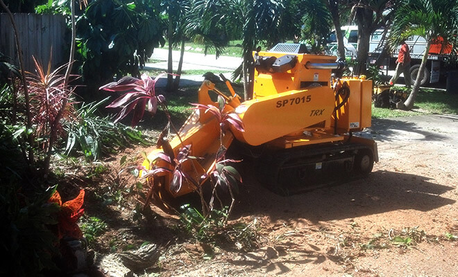 Stump Grinding